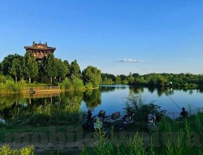 91麻豆免费在线观看-91麻豆——解锁真实娱乐体验的在线舞台