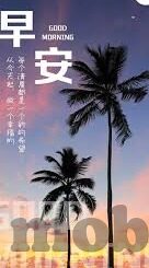 大象传媒 米欧-探索米欧与大象传媒的非凡旅程，创意与传播的交响曲
