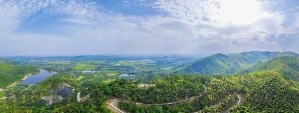 国产成人免费a在线视频-国产成人免费a在线视频，网络时代的文化与伦理边界