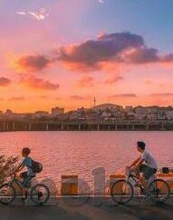 糖心vlog视频-糖心vlog视频，探寻生活小确幸的真实瞬间